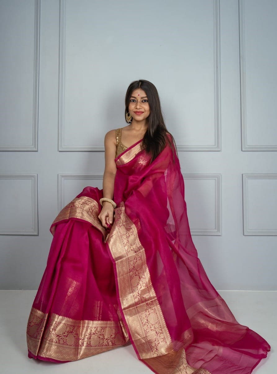 Rani Plain Body Pure Handloom Organza Saree
